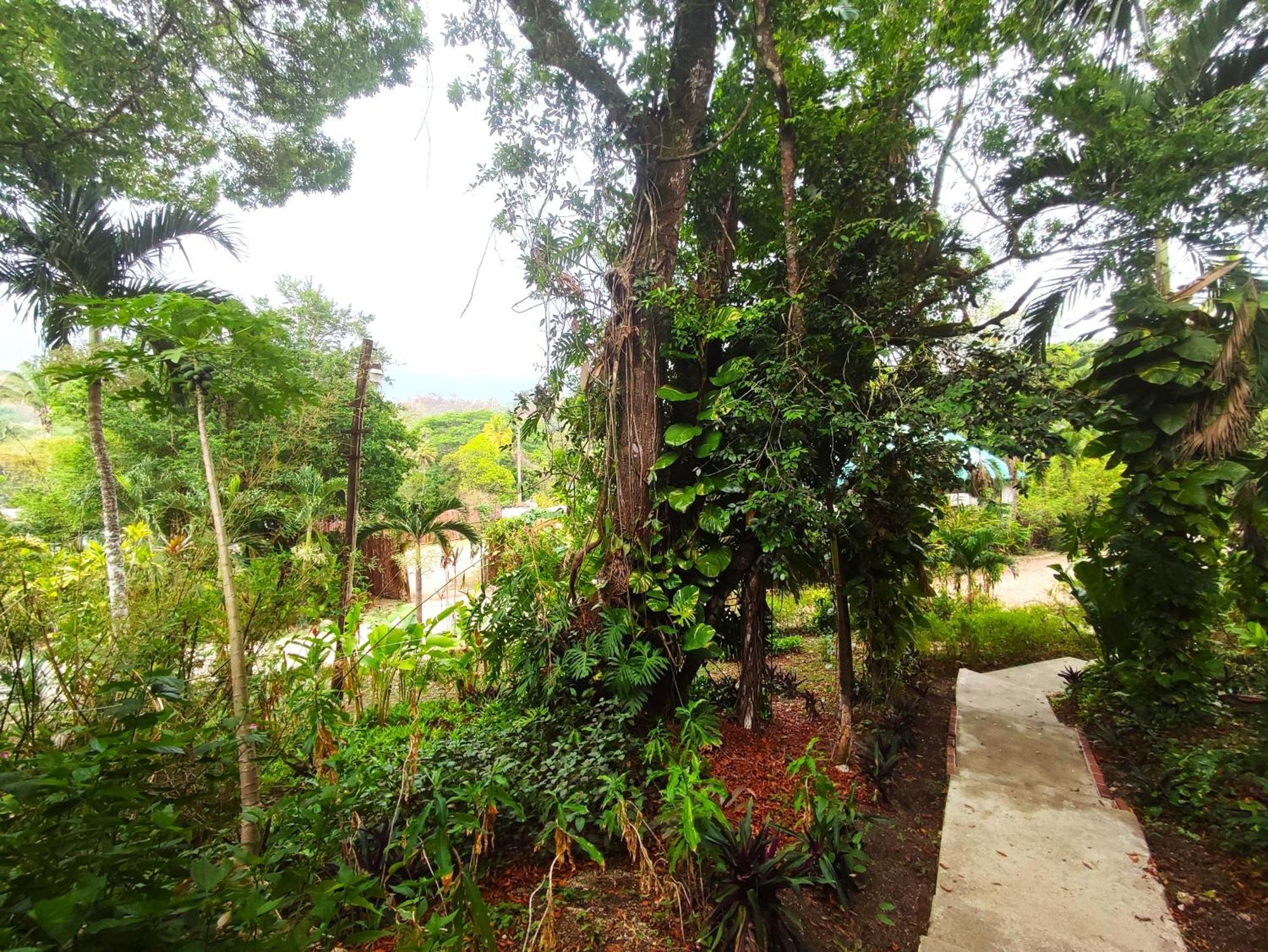 Maya Mountain Lodge San Ignacio Bagian luar foto