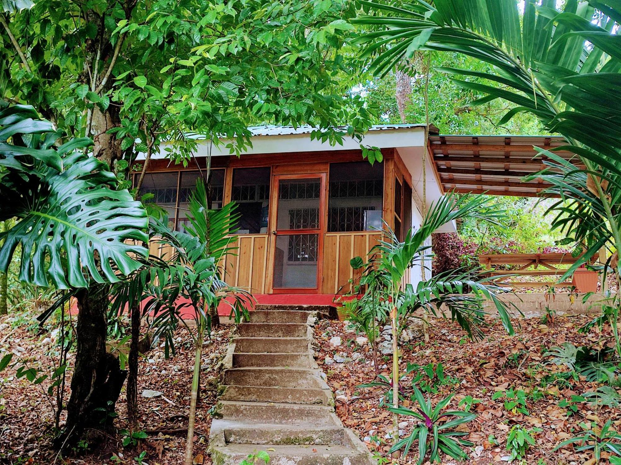 Maya Mountain Lodge San Ignacio Bagian luar foto