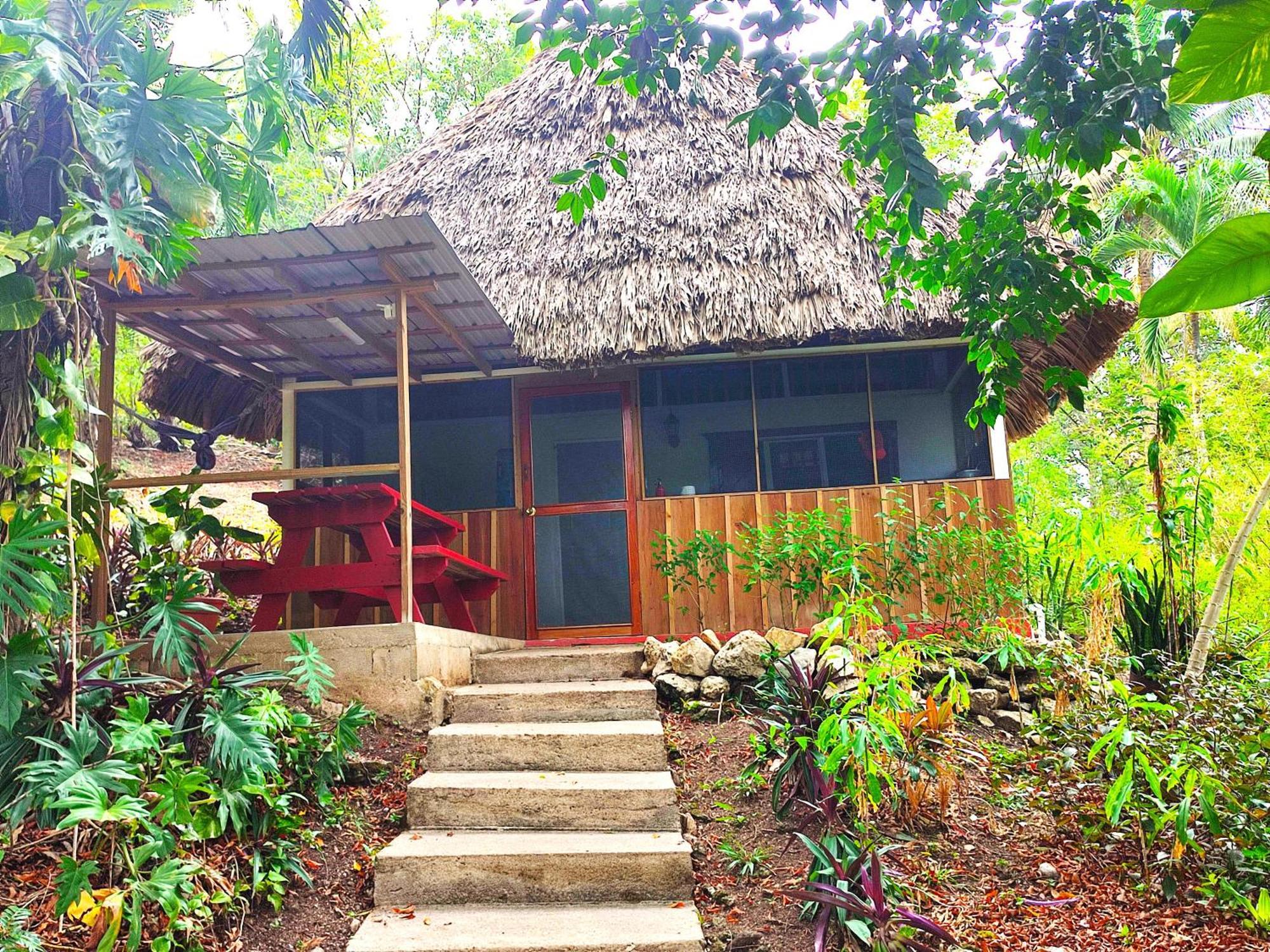 Maya Mountain Lodge San Ignacio Bagian luar foto