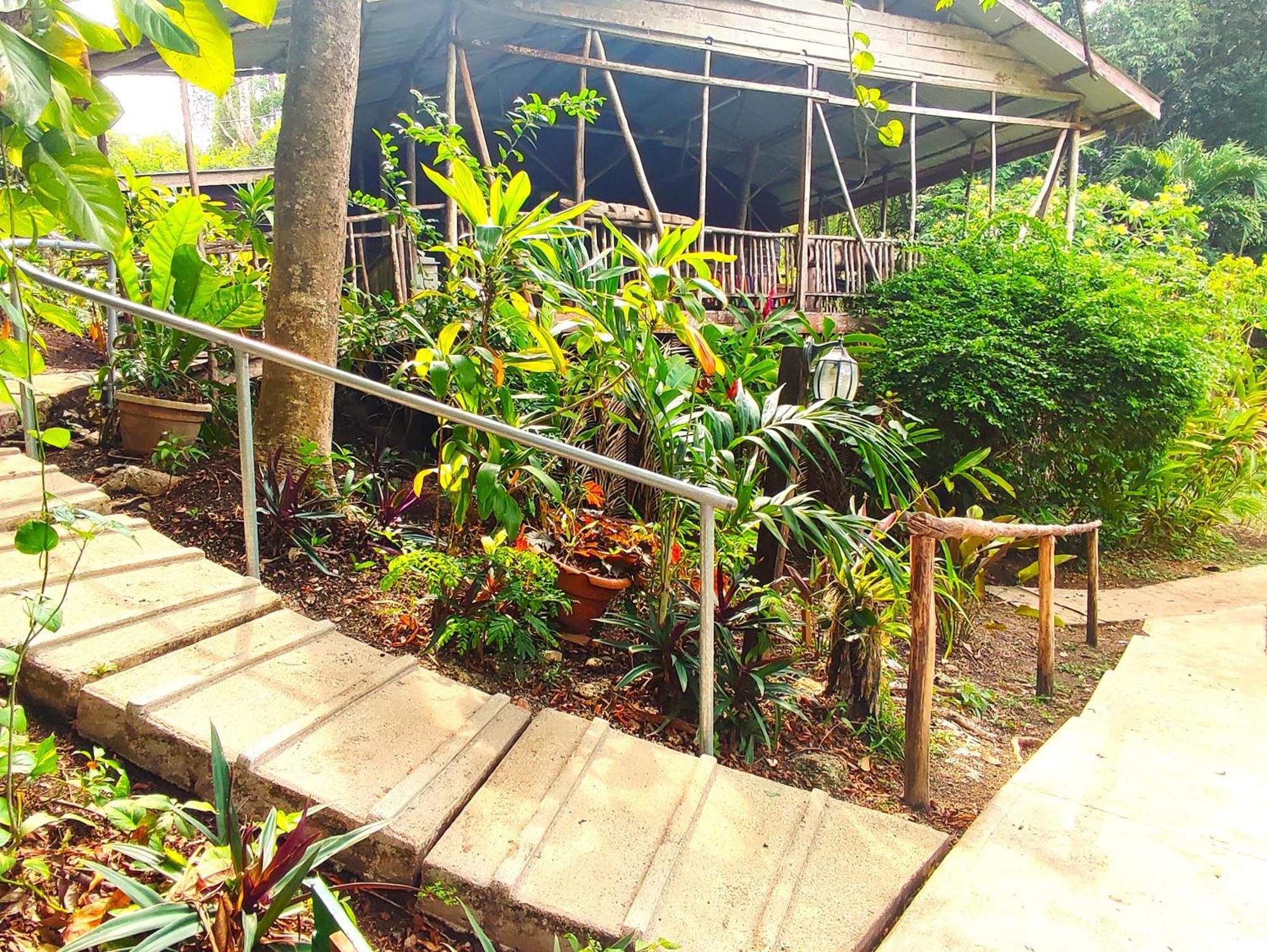 Maya Mountain Lodge San Ignacio Bagian luar foto