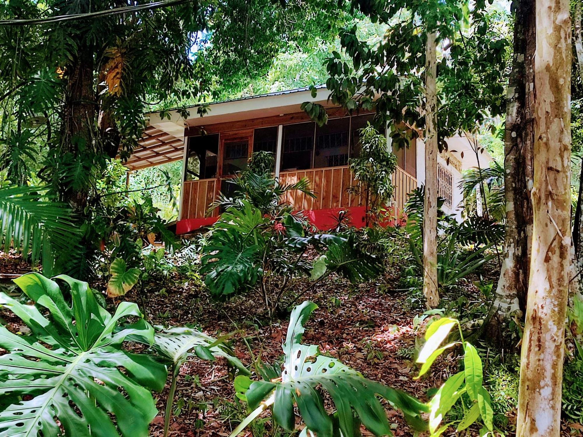 Maya Mountain Lodge San Ignacio Bagian luar foto