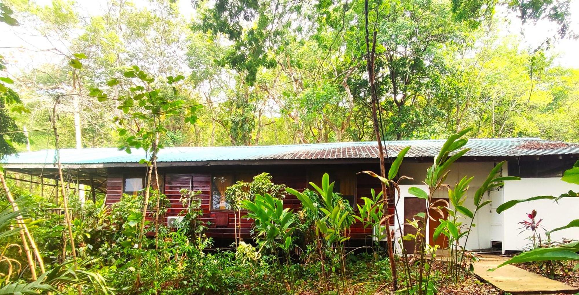 Maya Mountain Lodge San Ignacio Bagian luar foto