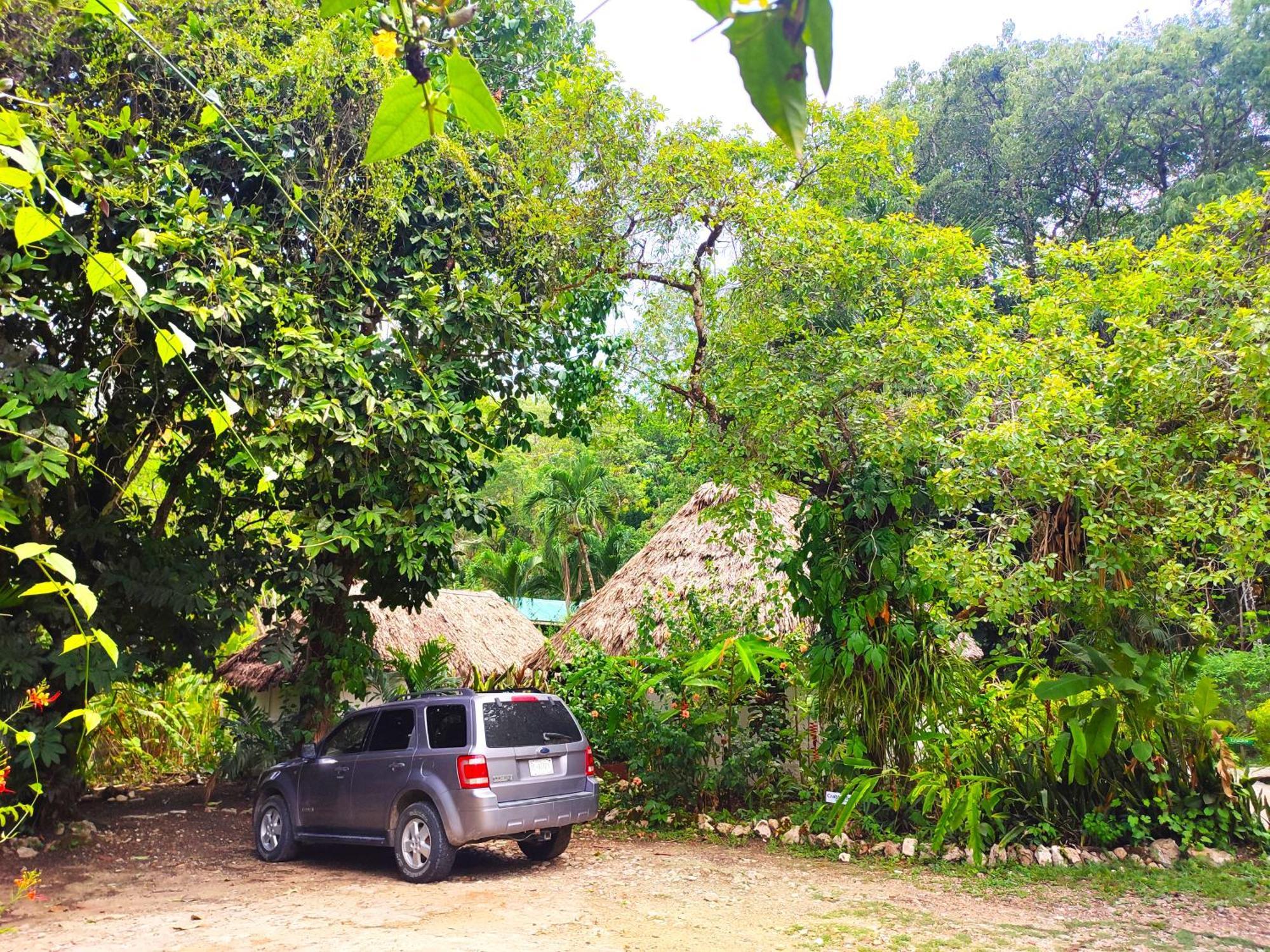 Maya Mountain Lodge San Ignacio Bagian luar foto