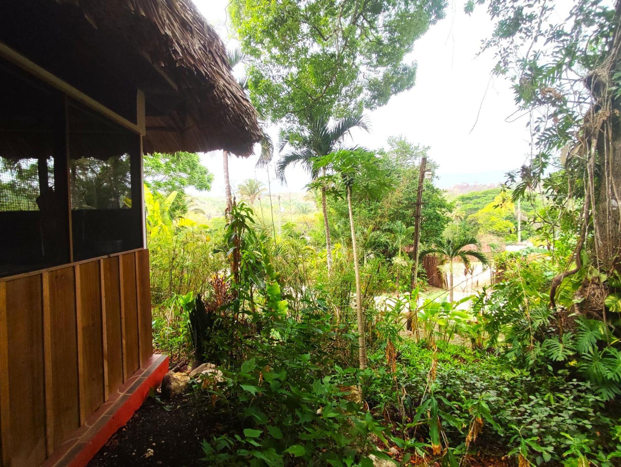 Maya Mountain Lodge San Ignacio Bagian luar foto