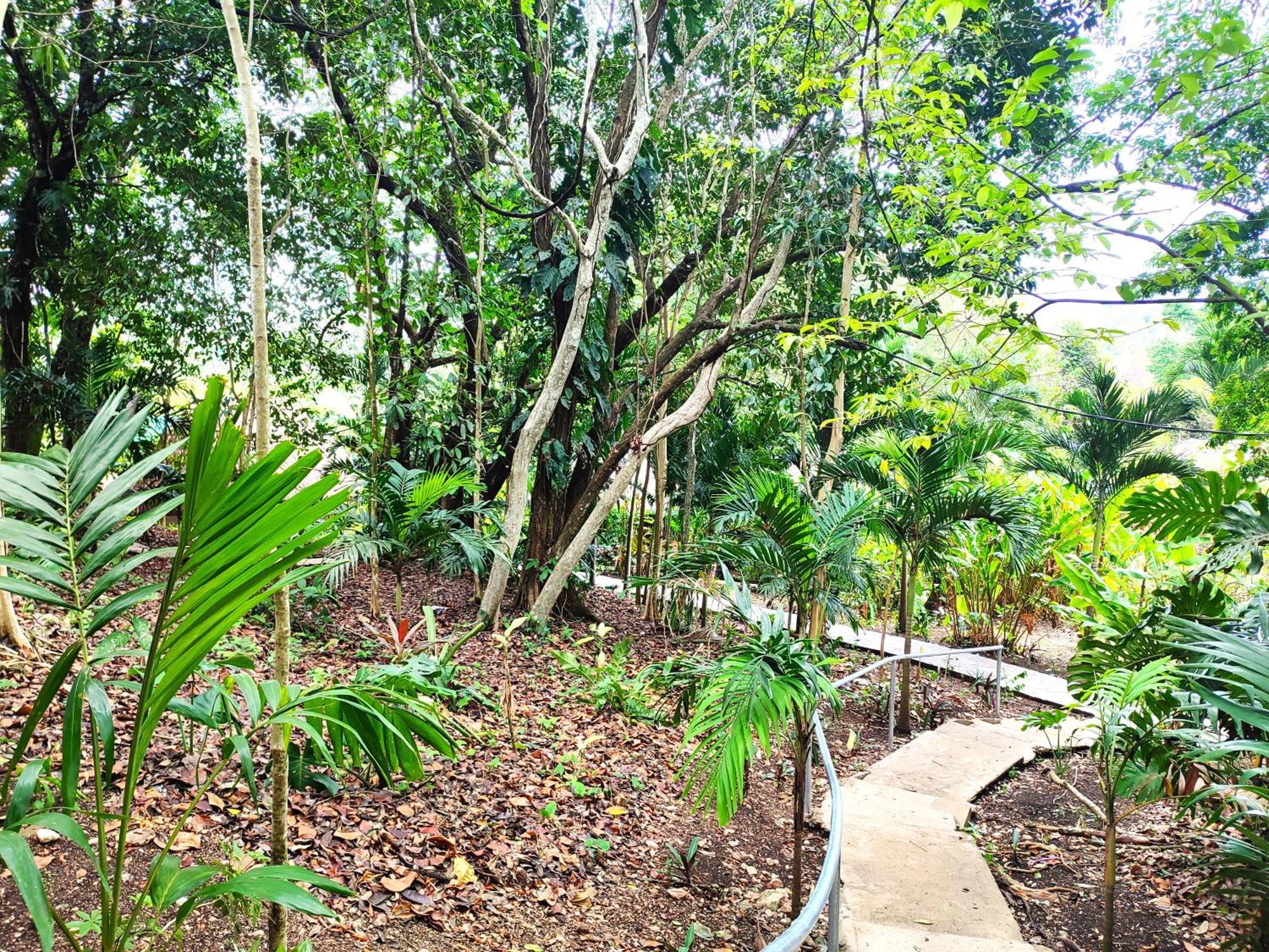 Maya Mountain Lodge San Ignacio Bagian luar foto