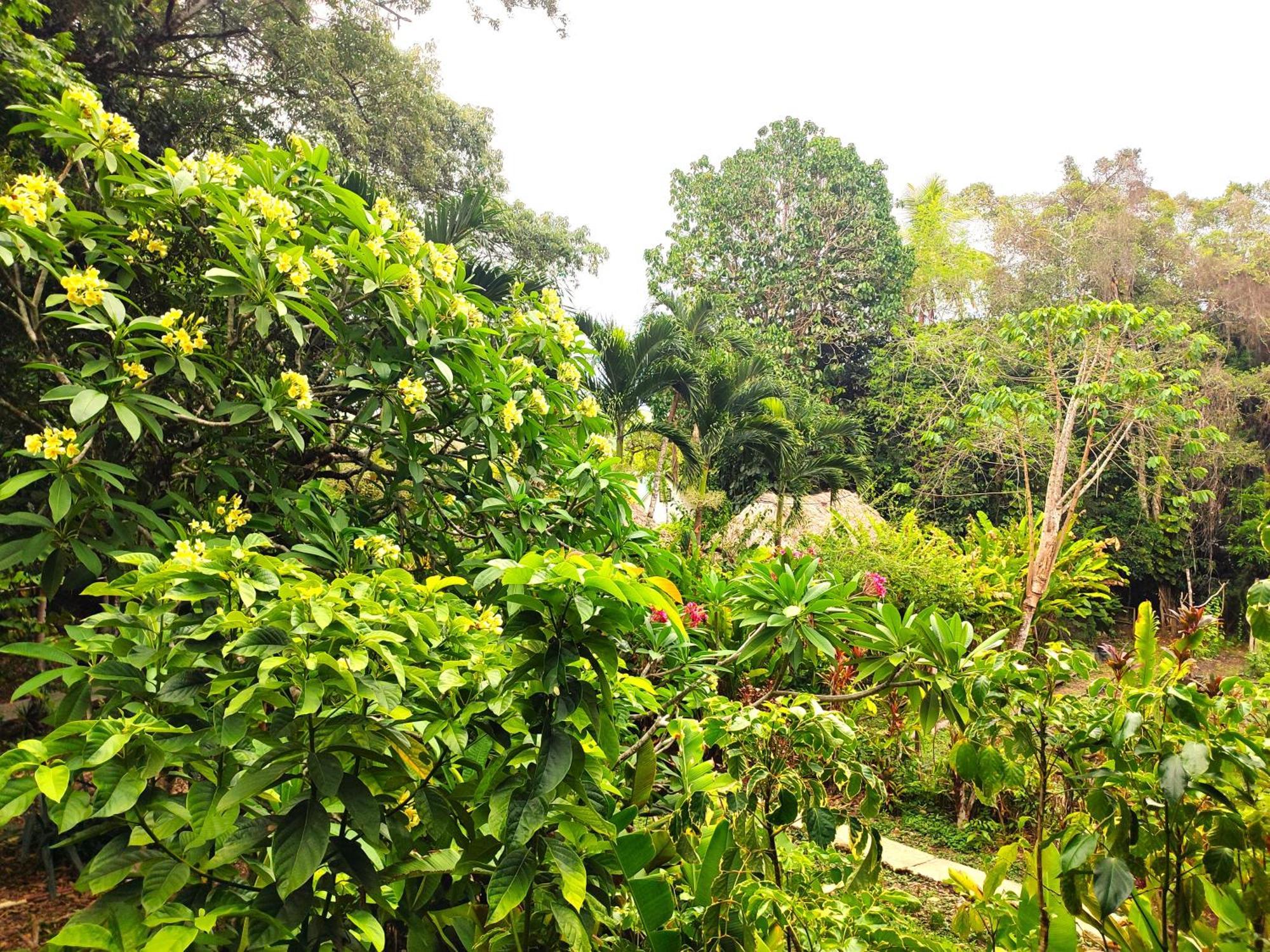 Maya Mountain Lodge San Ignacio Bagian luar foto