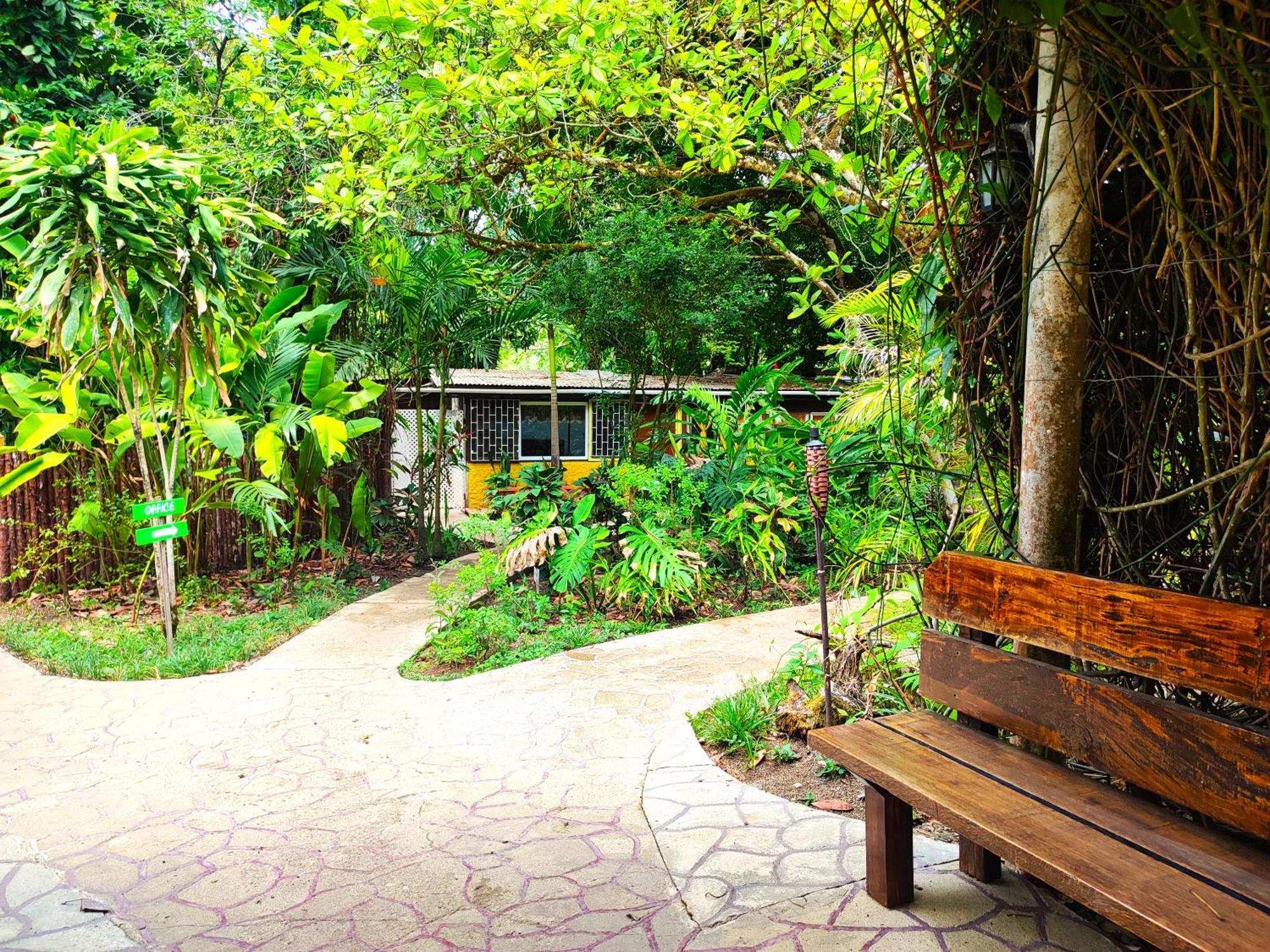 Maya Mountain Lodge San Ignacio Bagian luar foto