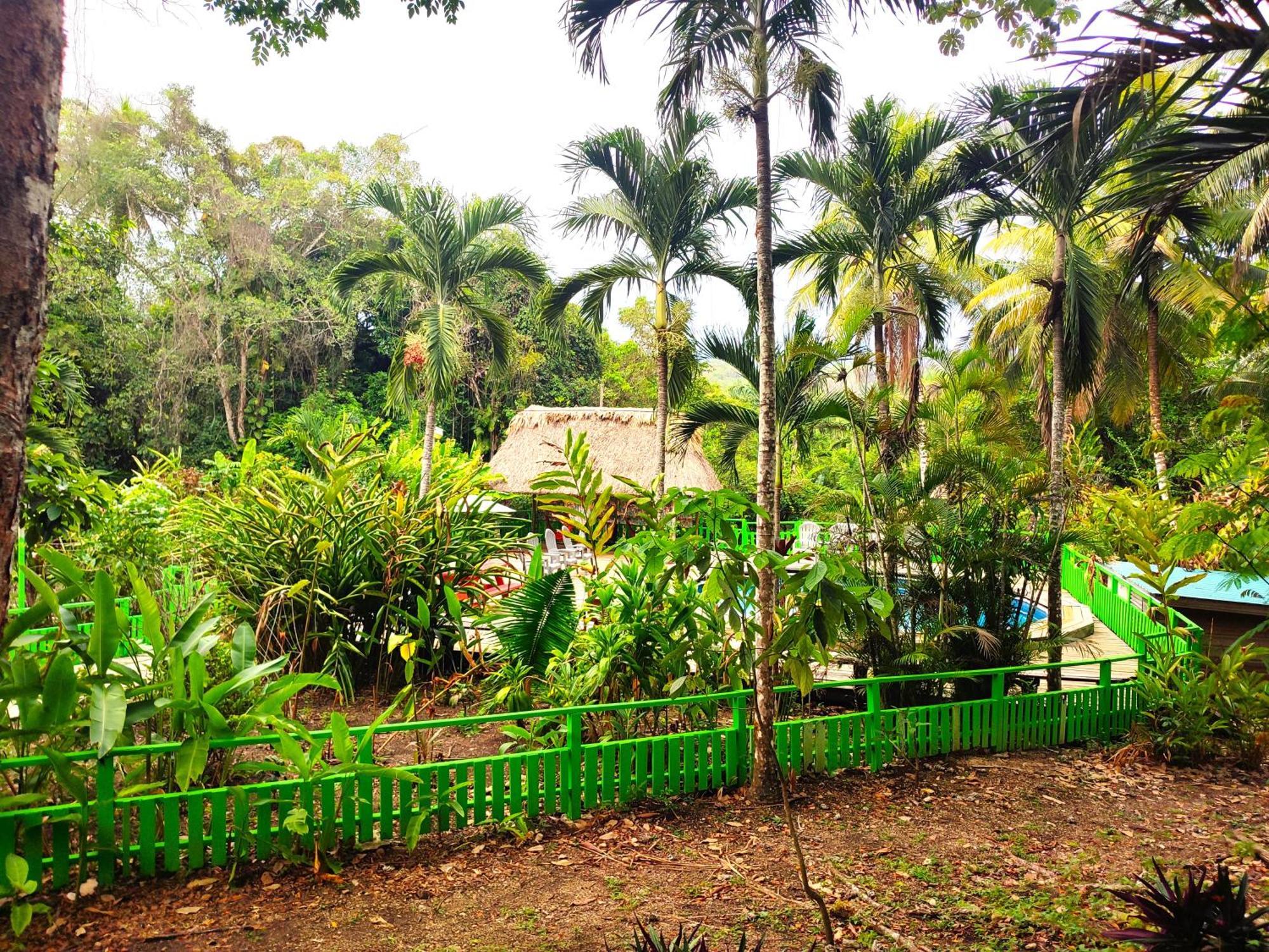 Maya Mountain Lodge San Ignacio Bagian luar foto