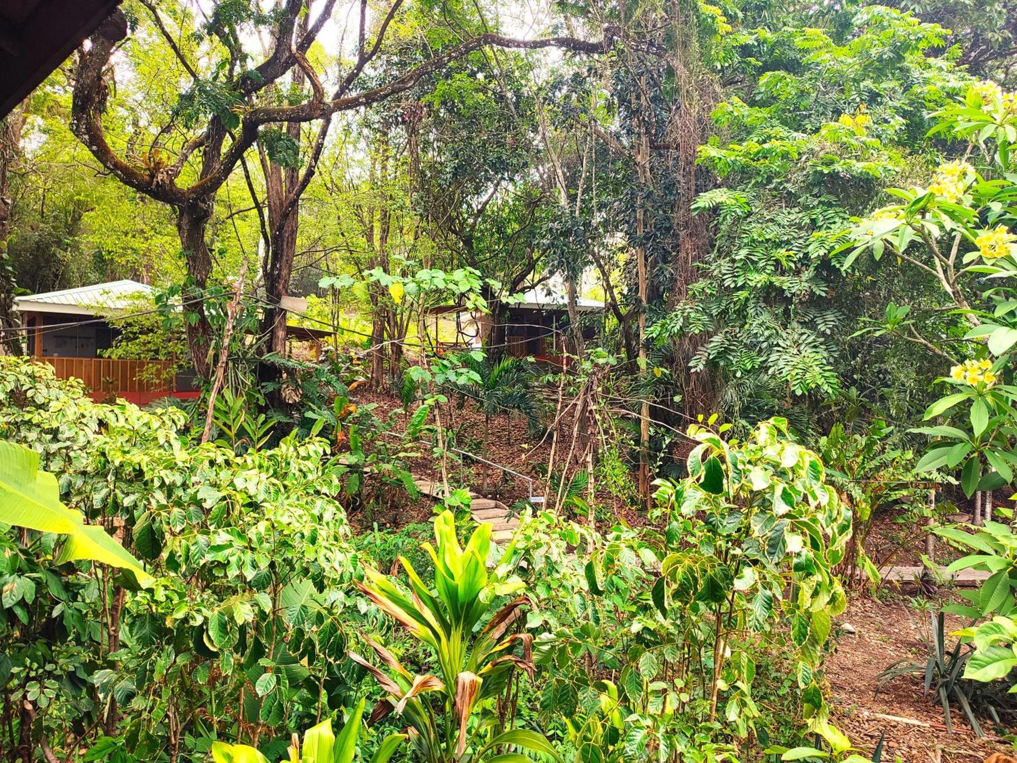 Maya Mountain Lodge San Ignacio Bagian luar foto