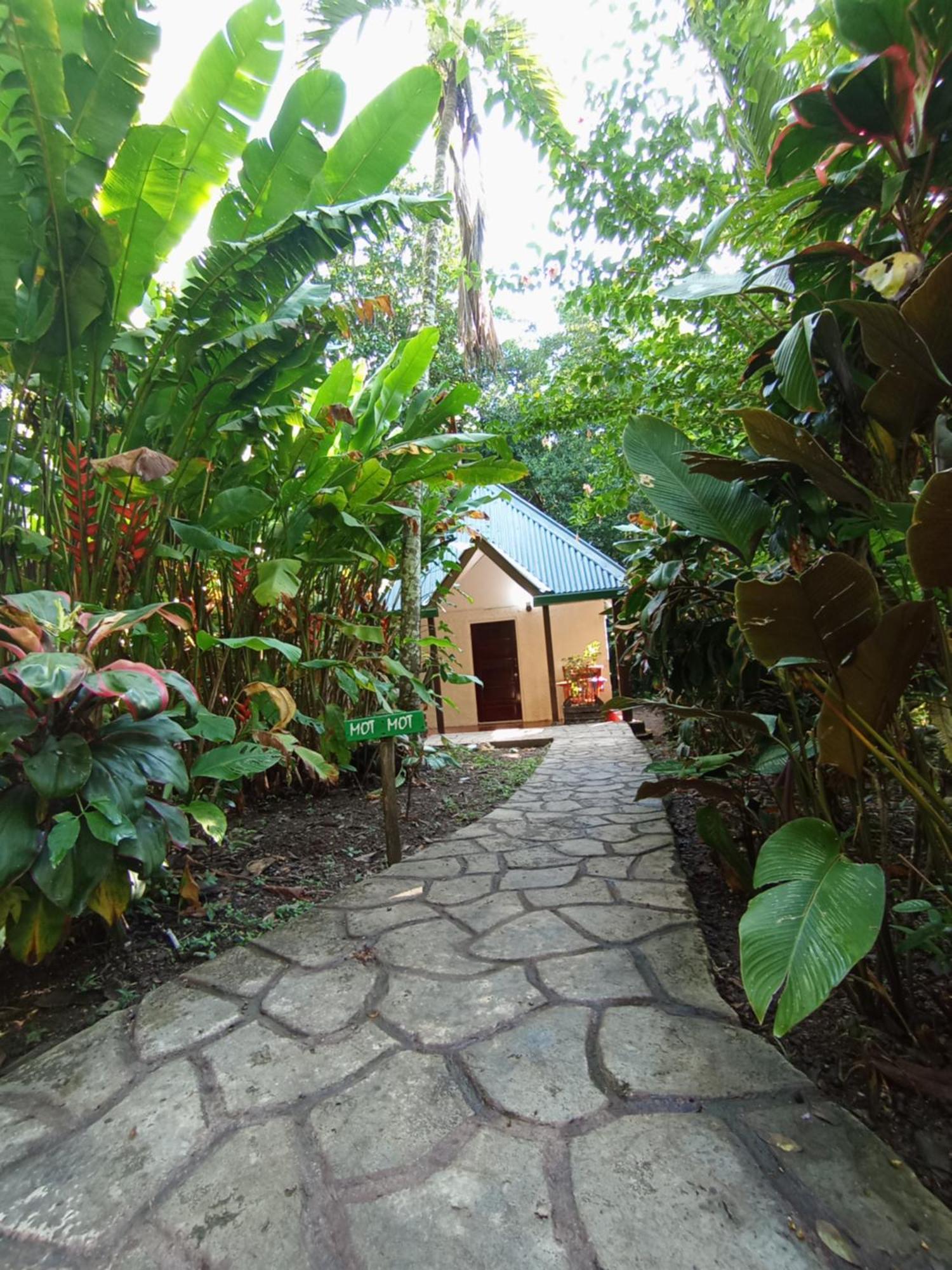 Maya Mountain Lodge San Ignacio Bagian luar foto