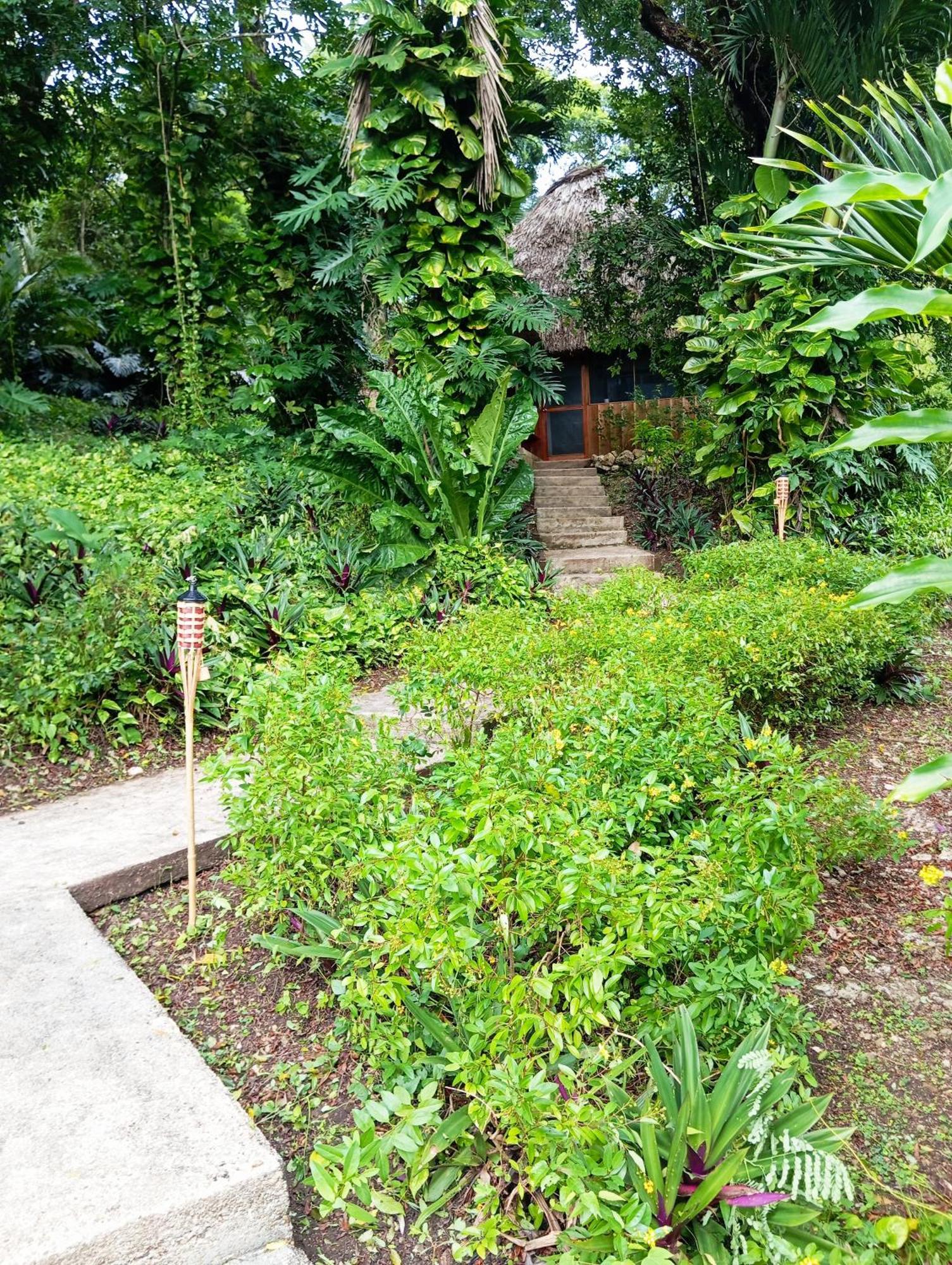 Maya Mountain Lodge San Ignacio Bagian luar foto